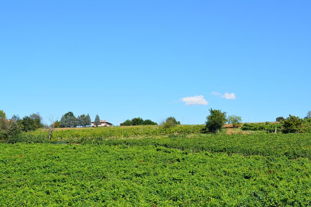 Le Stanze Di Bacco Villa Monteveglio Eksteriør billede