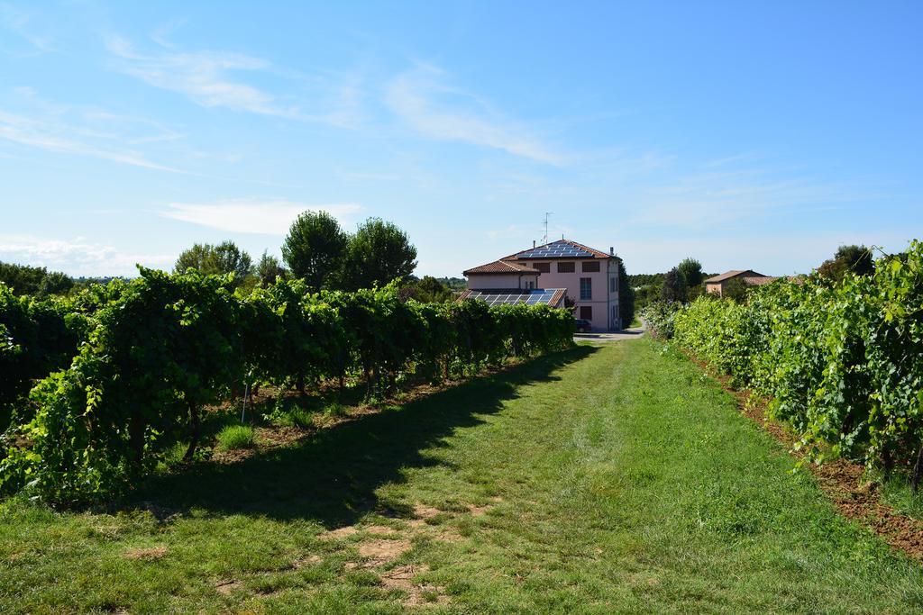 Le Stanze Di Bacco Villa Monteveglio Eksteriør billede